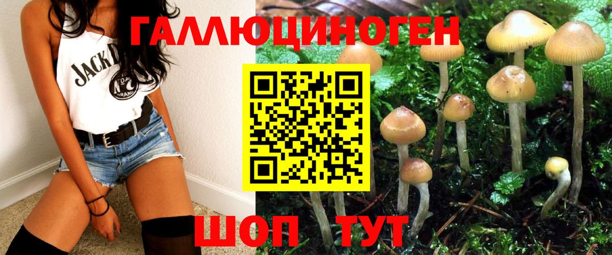 Псилоцибиновые грибы GOLDEN TEACHER  Вход с VPN  Воскресенск 